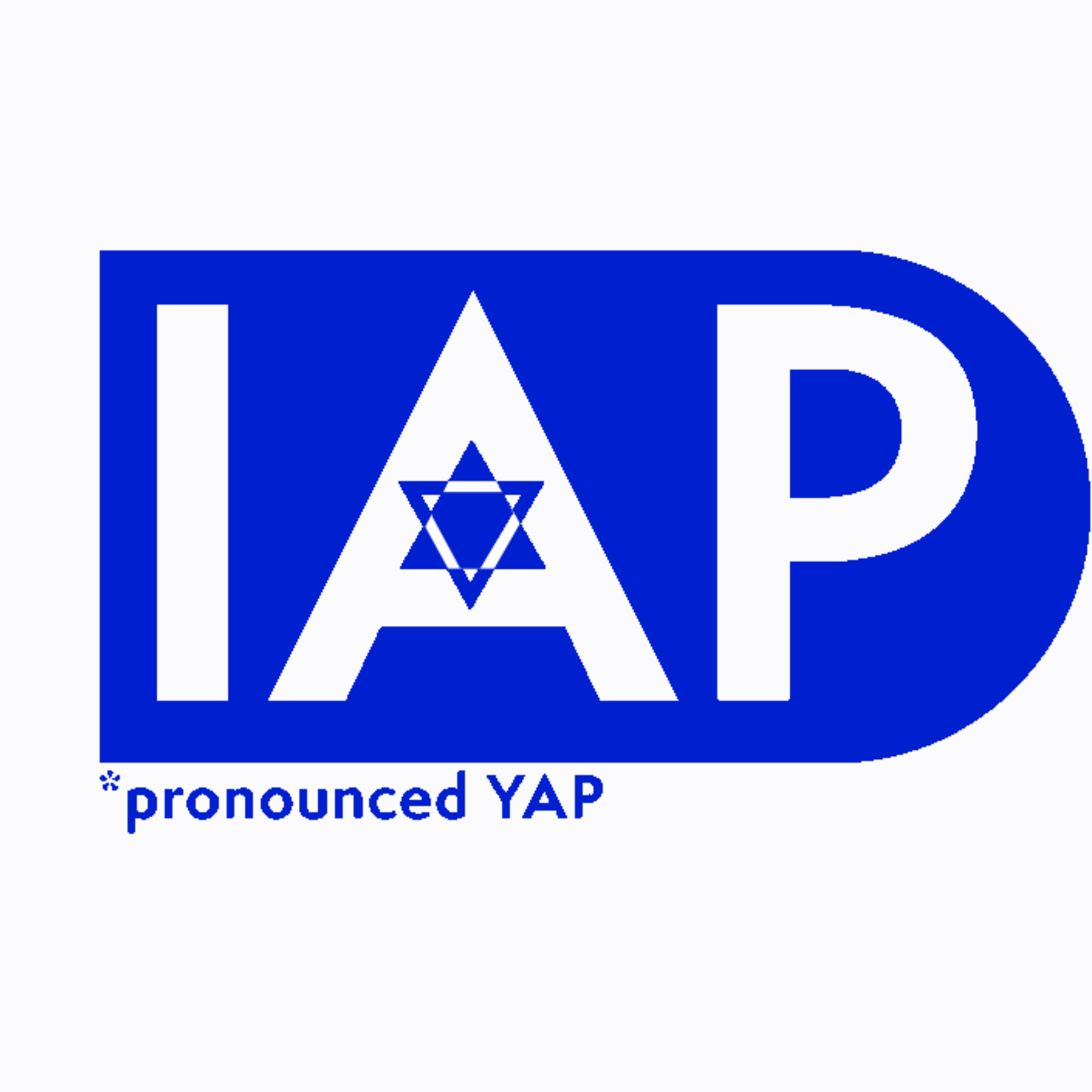 IAP Israeli Artists Project