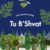 Tu B’Shvat